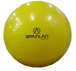 Gym Ball 45 cm